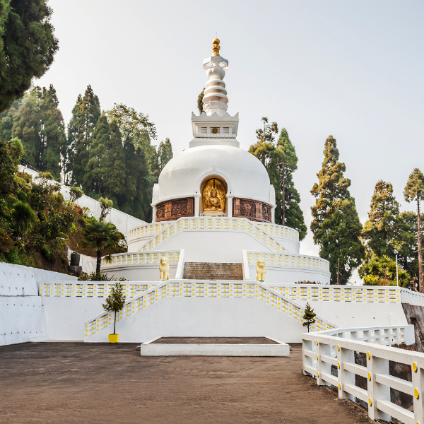 Darjeeling Panorama Tour