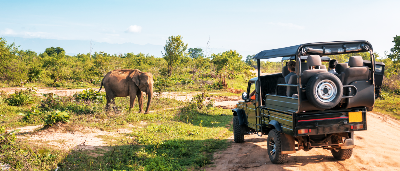 Wildlife Wonders of Dooars