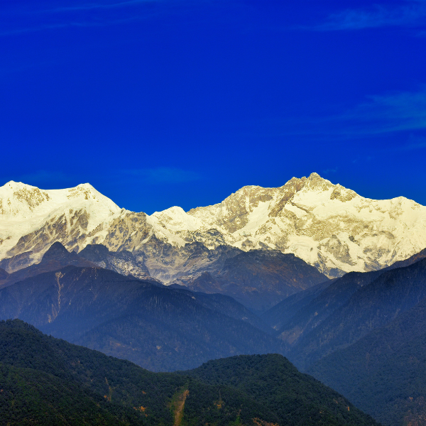 Darjeeling Signature Tour