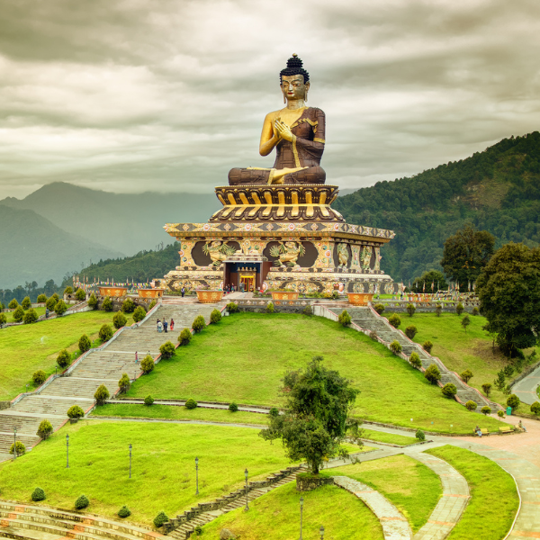 Sikkim & Darjeeling Delight