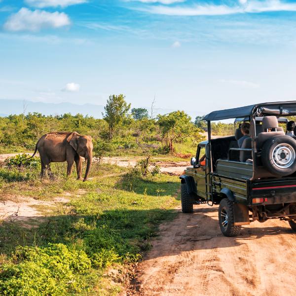 Wildlife Wonders of Dooars